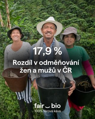 💰 17,9 % O tolik jsou v Česku platy žen nižší než mužů. Jeden z nejvyšších rozdílů v celé EU. 📅 International Equal Pay...